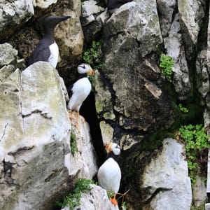 canon EOS 7D Mark II