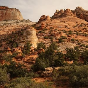 canon EOS 7D Mark II