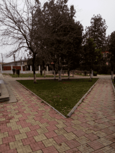 Allview P6 Pro