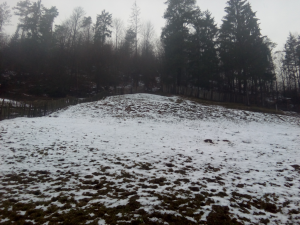 Allview P6 Pro