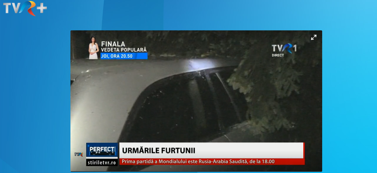 Campionatul Mondial de Fotbal online