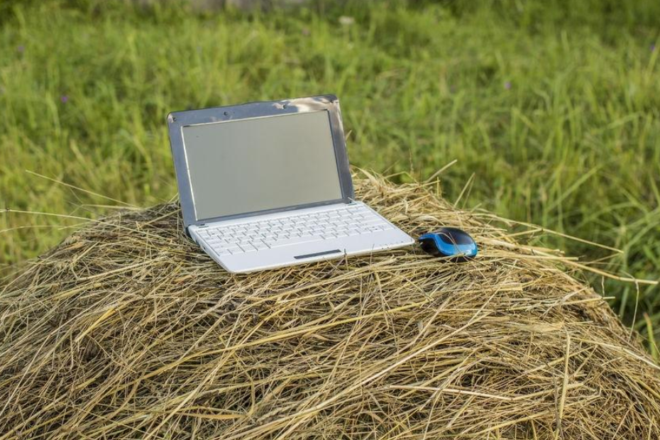 proiecte extindere acces internet