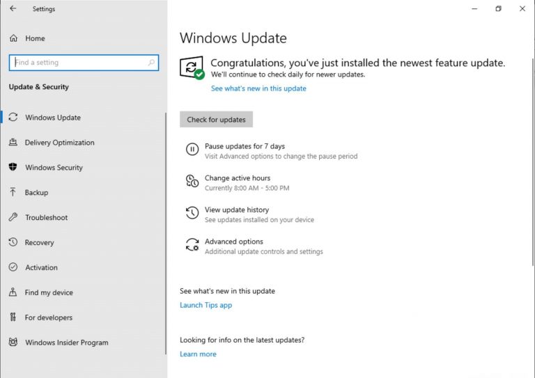 windows 10 update