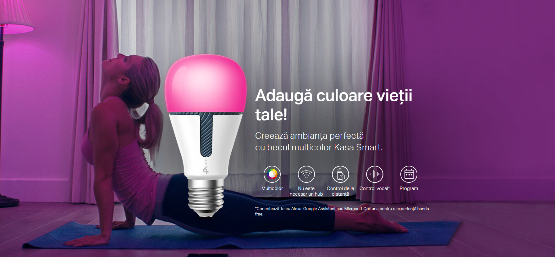 bec inteligent tp-link