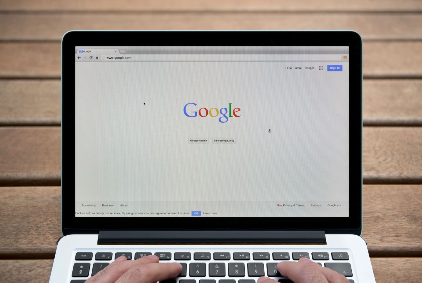 folosire google chrome