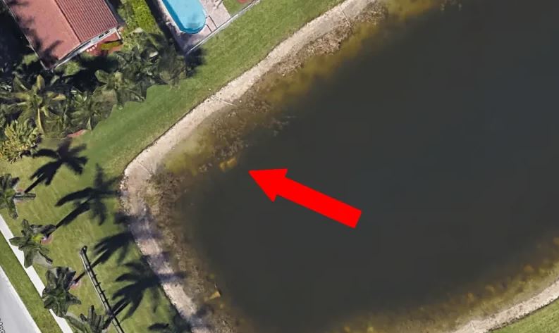 persoana disparuta google maps