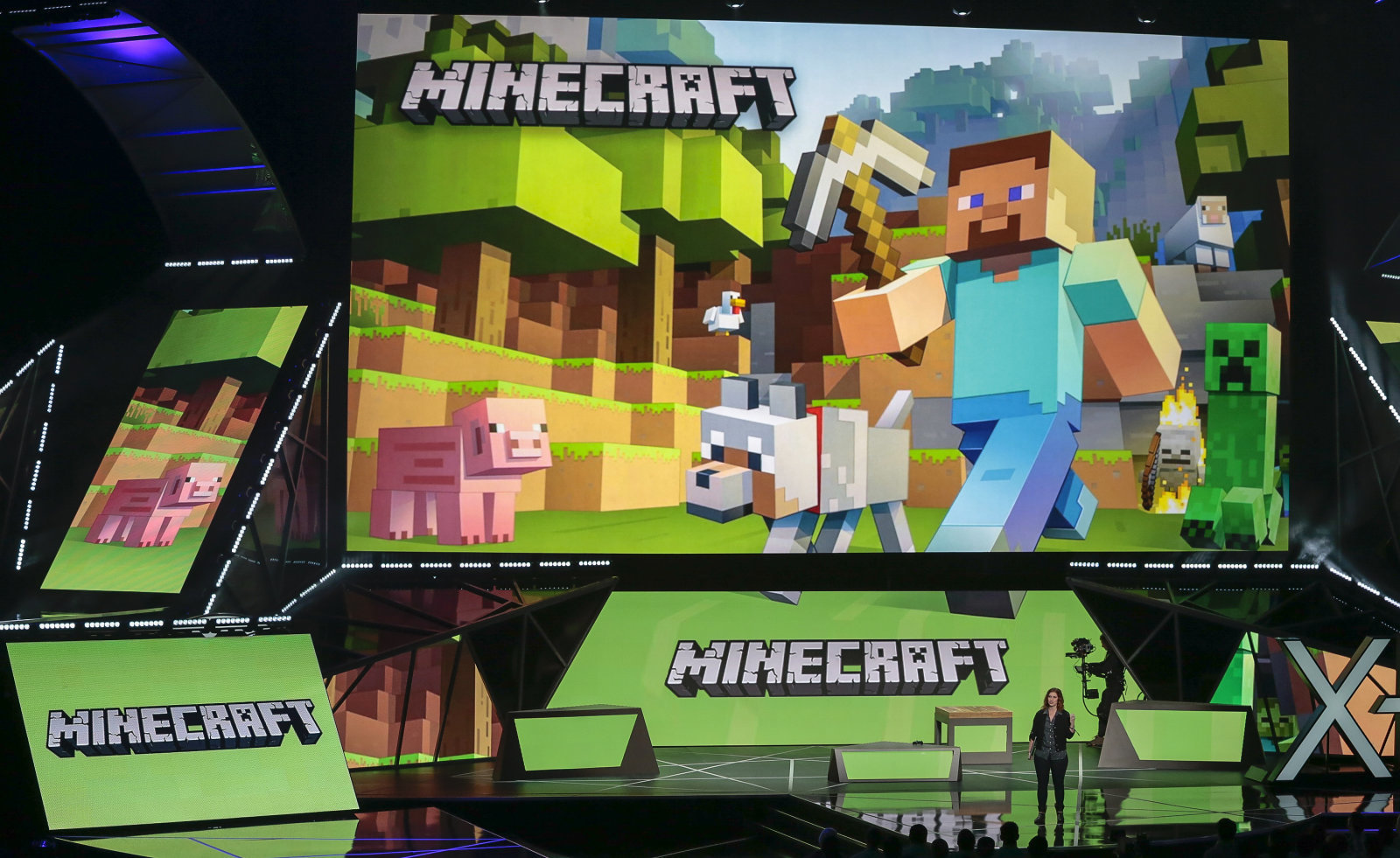 utilizatori minecraft