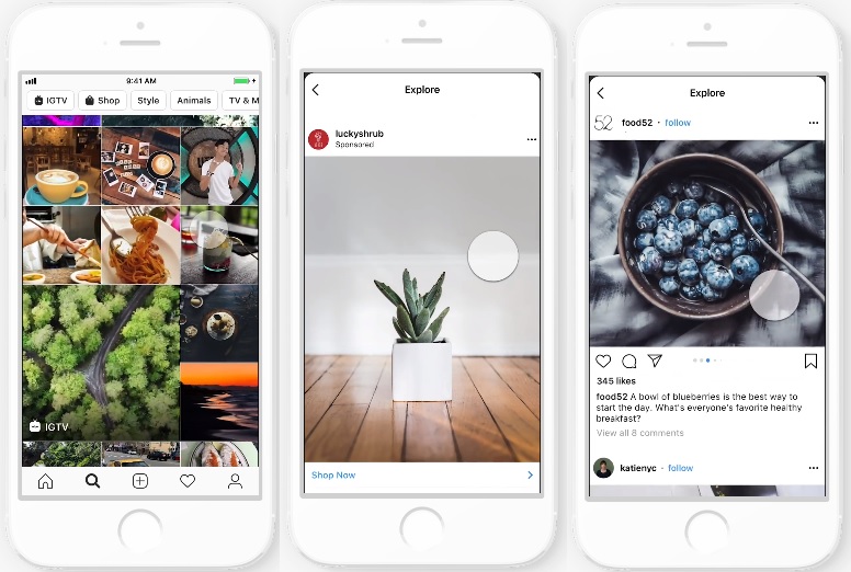 afisare continut instagram