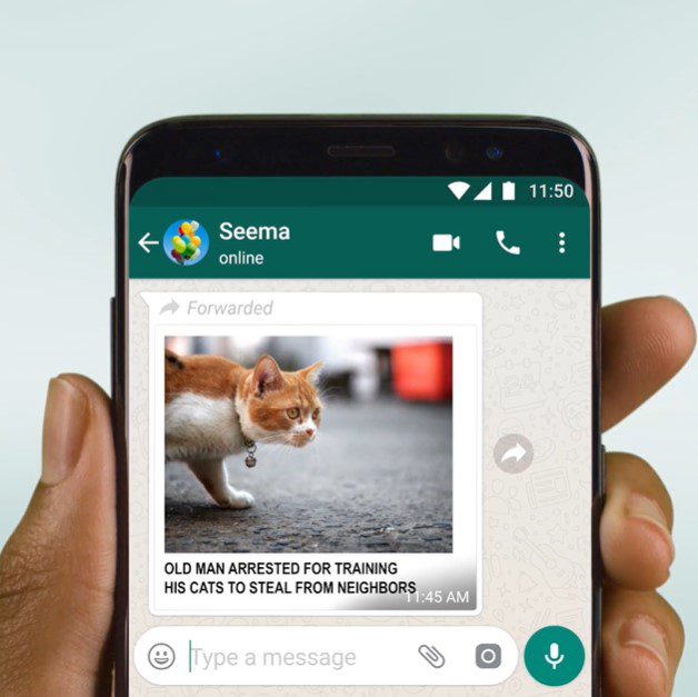 virale whatsapp
