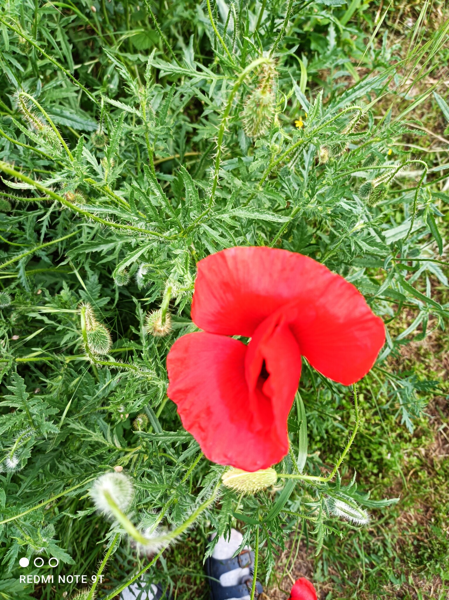 Redmi Note 9T 5G