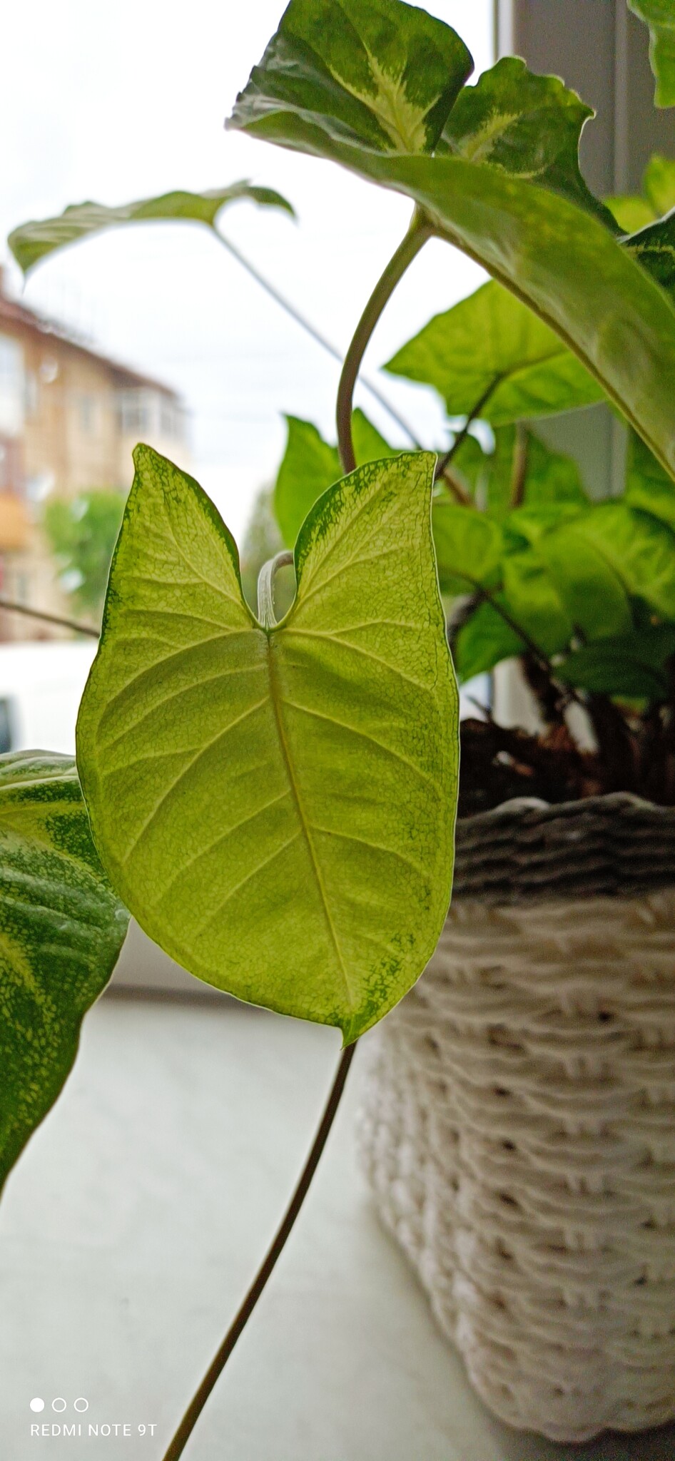 Redmi Note 9T 5G