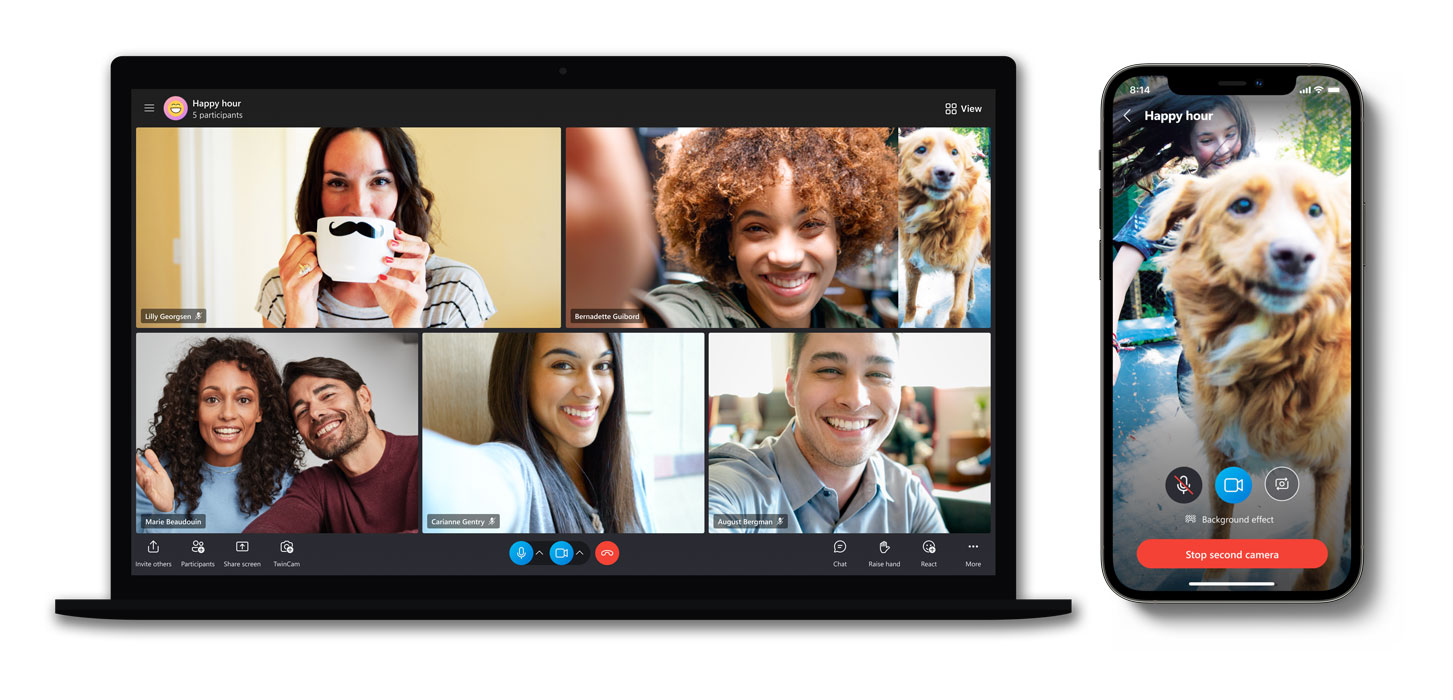 actualizări skype