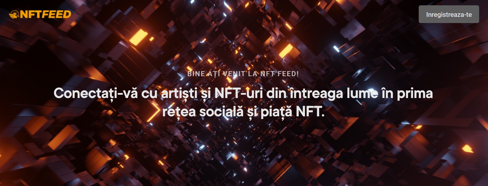 nft feed