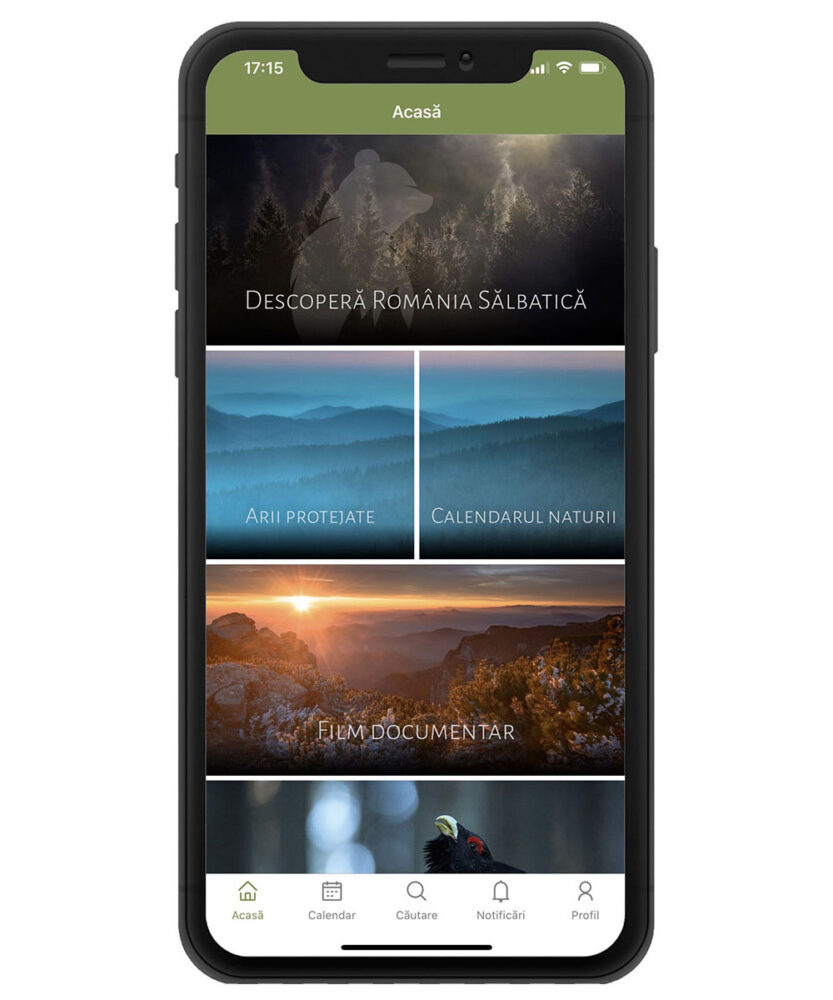 România Sălbatică