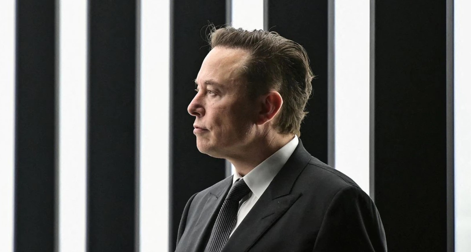 musk rețele de socializare