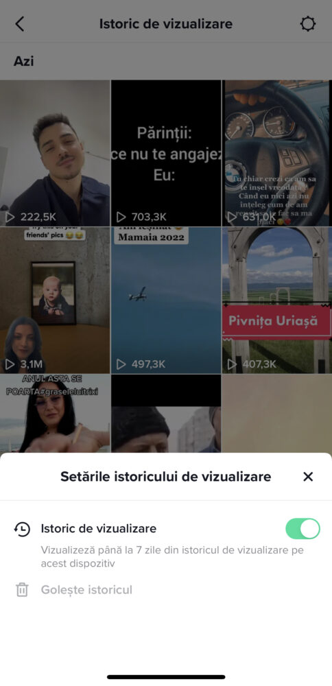 istoricul TikTok