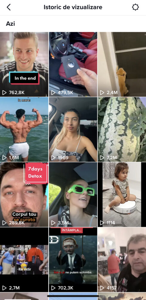 istoricul TikTok