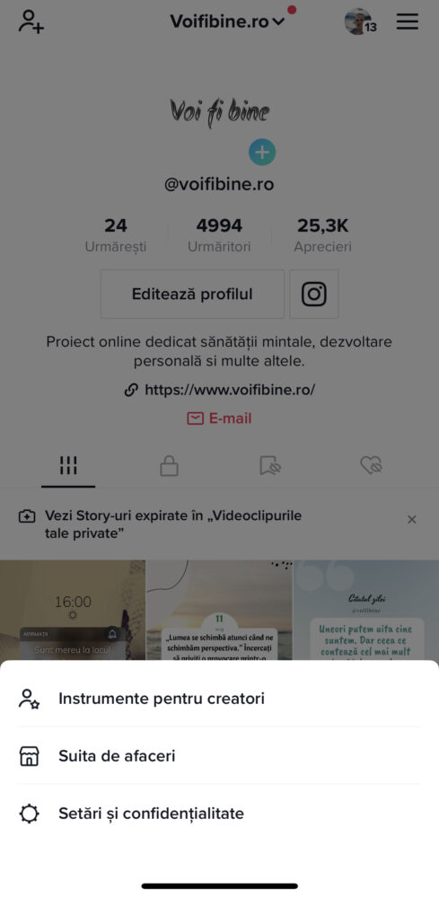 istoricul TikTok