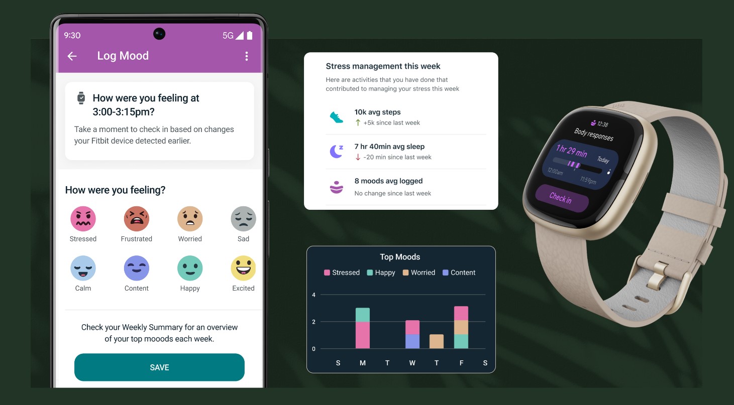 fitbit sense 2