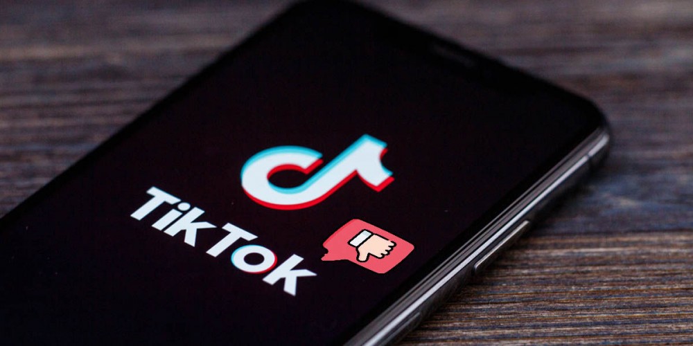 Dislike TikTok