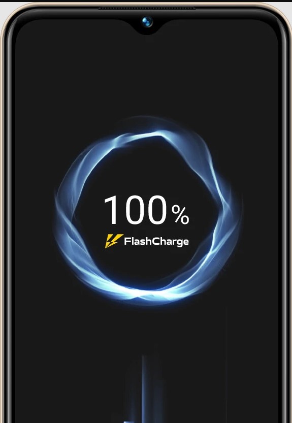 vivo Y
