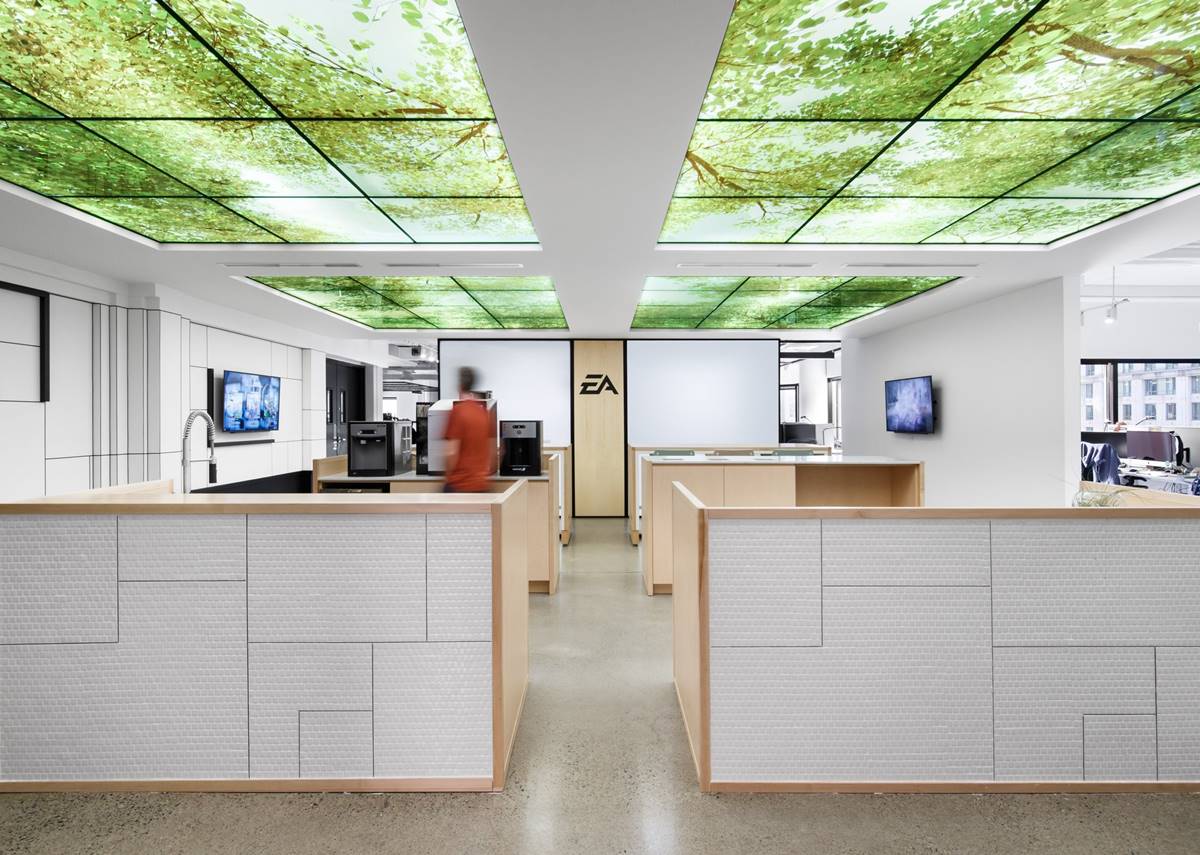 concedieri electronic arts