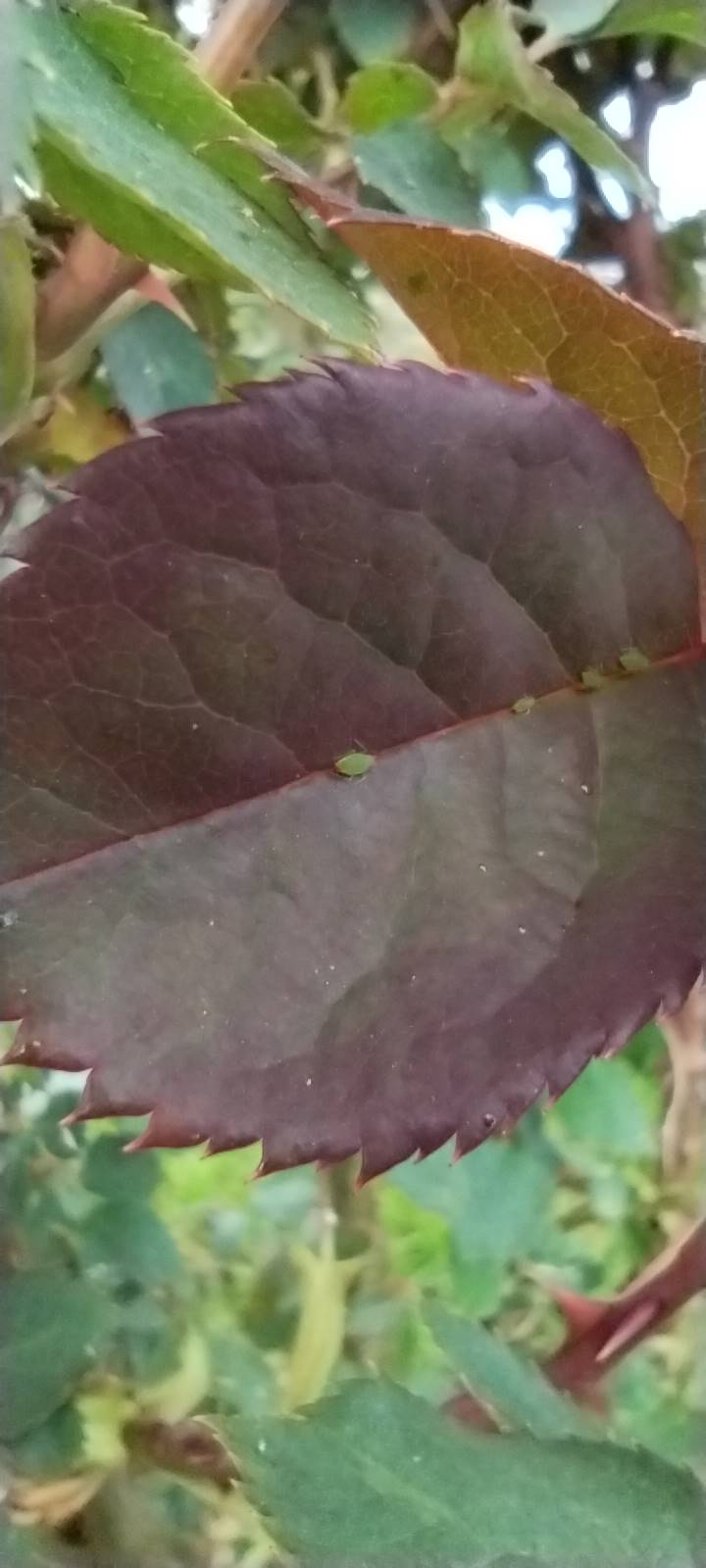 img 20230501 140840