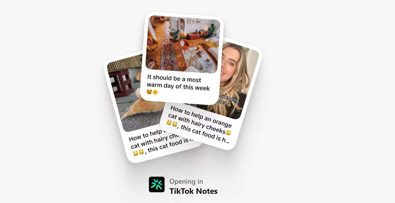 tiktok notes 66153e53cce37