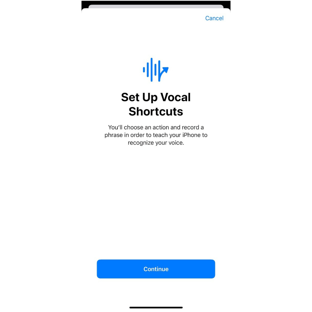 i vocalshortcutssetup