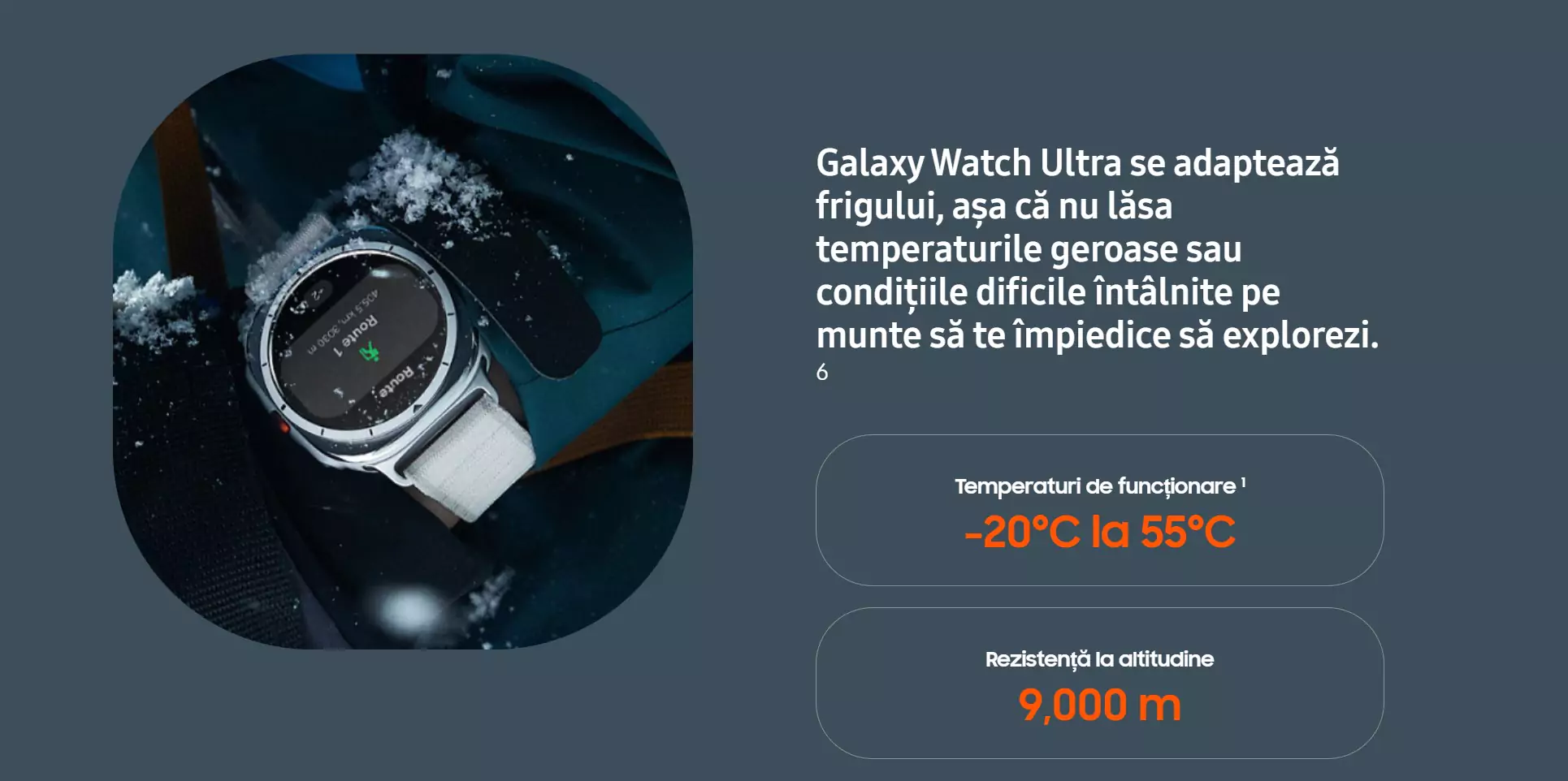 munte 668ee49505621