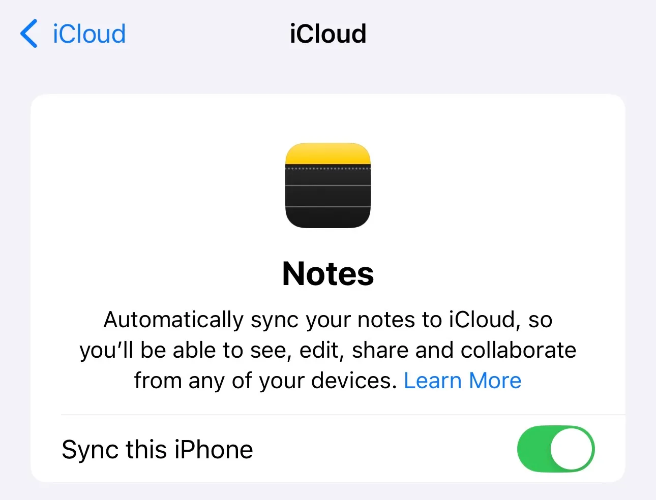 iphone notes deleted bug