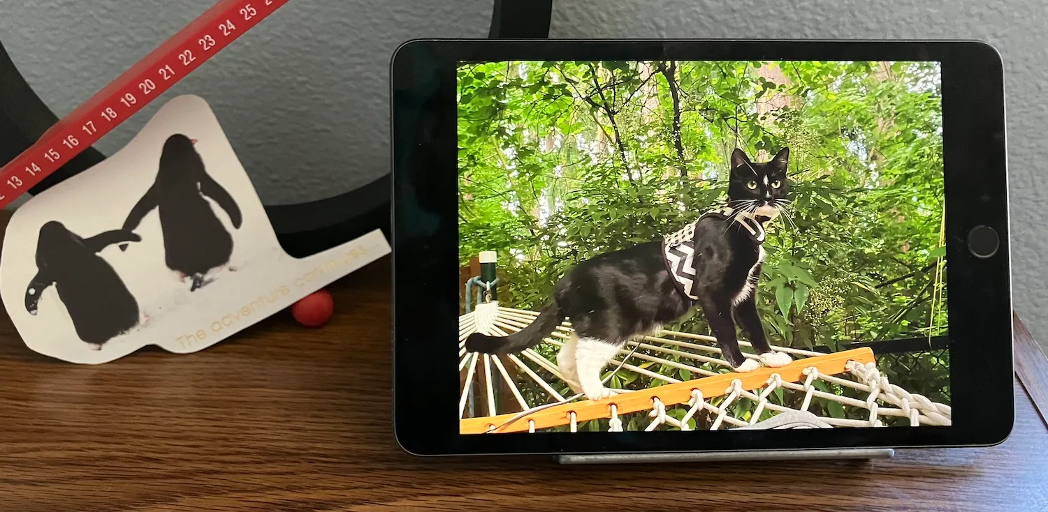 2 uses for old iphone ipad
