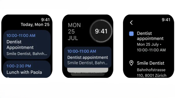 the google calendar app on the apple watch dyrv