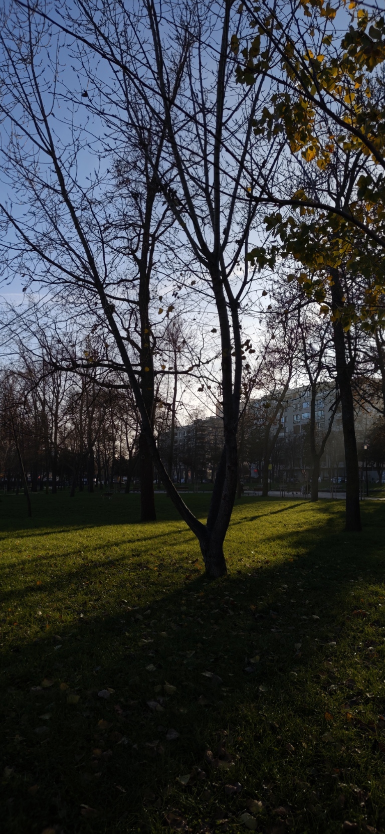 img 20251216 145304