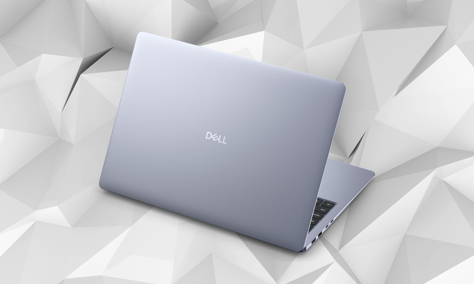 dell2