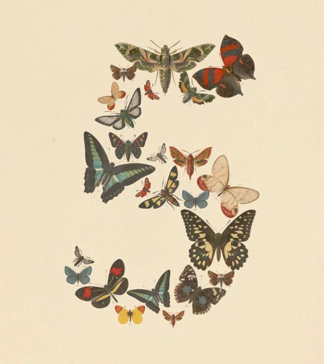 calude fable5