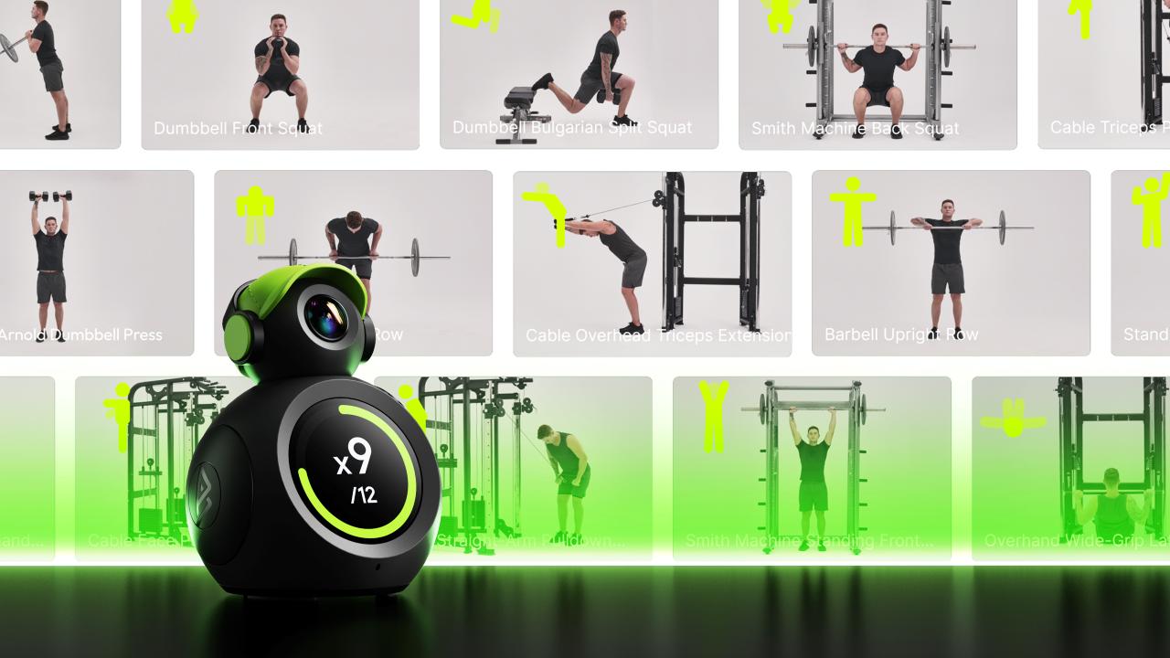 motion library